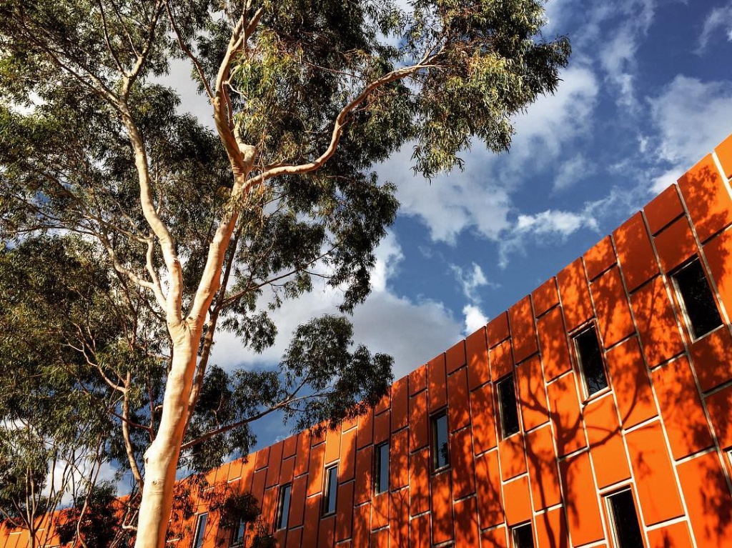 rmit5.jpg rmit5.jpg