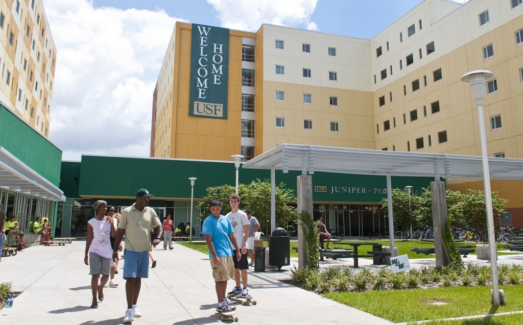 University of South Florida (USF) University of South Florida (USF)